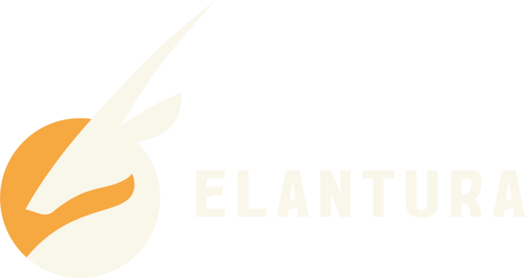 Elantura logo